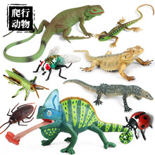 兒童仿真動物模型萬聖節裝飾品整蠱玩具擺件蜥蜴蠍子蜈蚣變色龍