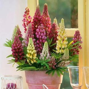 �ļ���ɫ���������N�ӡ��׷N�������ͺ��҃��̨ͥԺ�������ȶ���