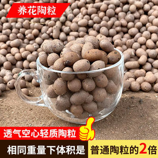 Ceramsite Special Flower Pot Pad Bottom Hollow Ceramsite Fleshy Flower Pot Moisturizing Granular Bottle Hydroponic Flowers for Green Planting