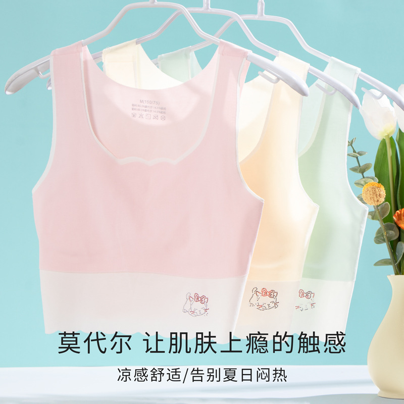 Summer girls' development period underwear girl modal children's vest anti-bump one-stage student bra