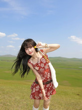 ����޺ÿ��ď͹żtɫ�黨�����o���B��ȹŮ�ĸ߼��жȼ��L��ȹ��