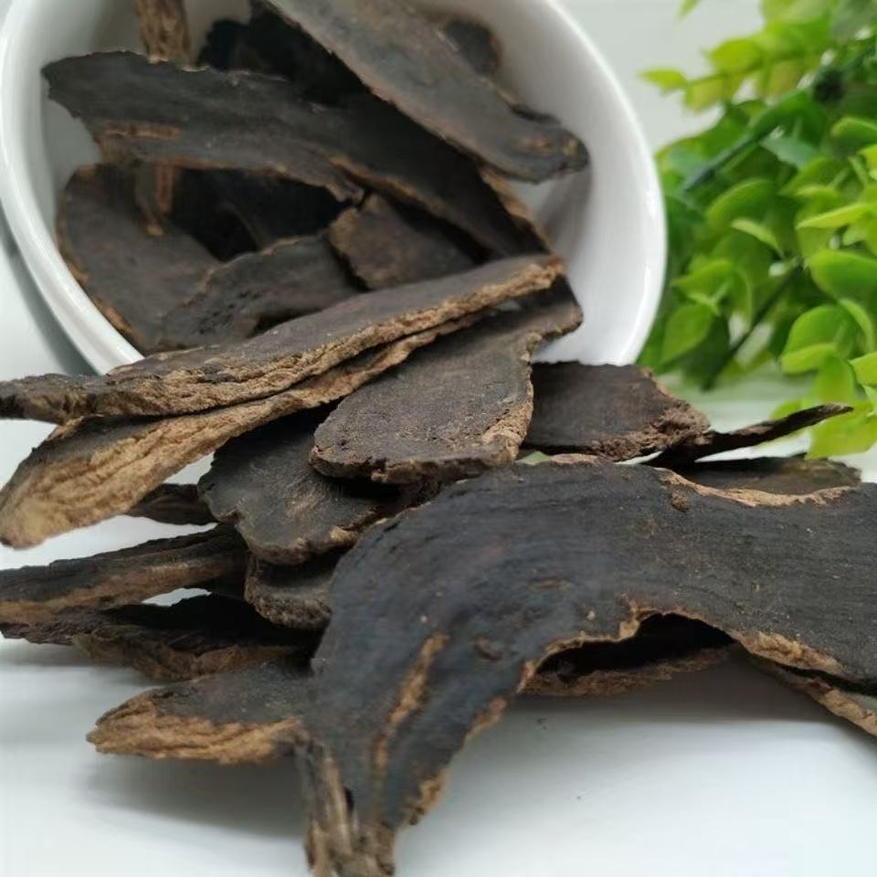 Xuan Shen Powder Scrophularia Ningpoensis Root Fine Ground 500g TCM Herbal Supplement in use