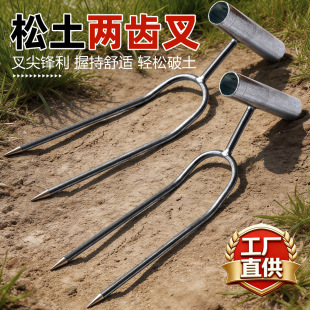 �ֳ��������X��N���N��2���X������ֳ������������跭��2�p�X��