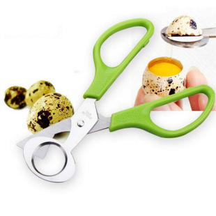 �g�������� �B������ ���P䓼����� �е��� �����и���