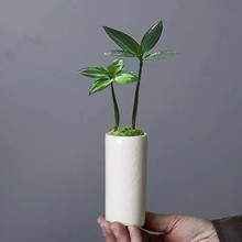 ?С̖�������Gֲ��ر����ԸG׃�����҃���̨���п��մɻ�ƿ�[