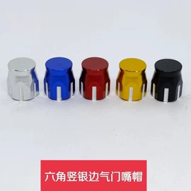 其他汽车外饰;气门嘴;车身及附件