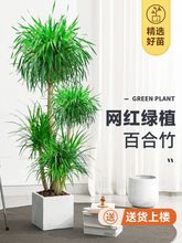 �W�t��횘�������Ѫ���k���ҿ͏d���;Gֲ�p���҃�ֲ����^���F��