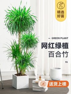 �W�t��횘�������Ѫ���k���ҿ͏d���;Gֲ�p���҃�ֲ����^���F��