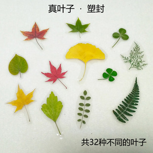 �y���~�t���~���~�ܷ�������~��ֲ��ɘ��~�˱����~���Π�