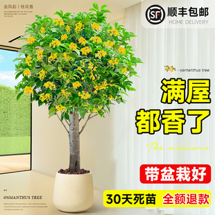 ���¹𻨘����ļ������Դ����;Gֲ�҃��k�����ļ��_��ԭ���Ϙ�