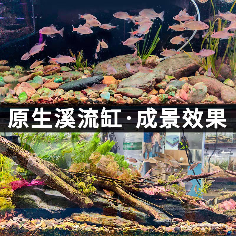 鱼缸造景石原生溪流石主石大块岩片石头底砂天然原石龟缸躲避|undefined