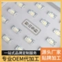 长白山合作定制林下参