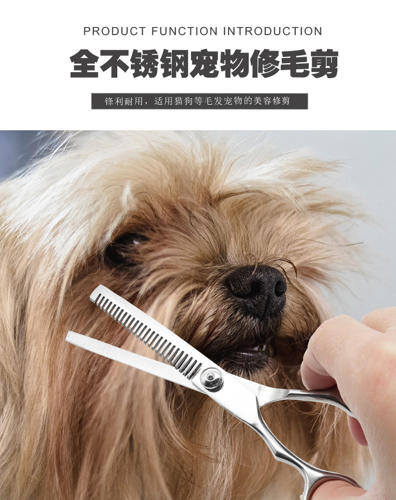 O1CN01akCJr21mfo1F8CThP_!!2213