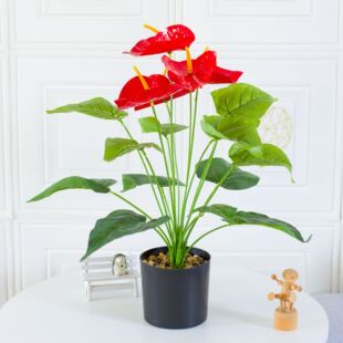 �S��ֱ�N����t��18�^3��5���ָоGֲ�ٻ��Ҿ��b�ֲ��@���쾰
