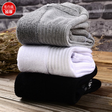 �n���m����ʿ���������mggë���׼�ɫ͸���\�����mëȦ������ů