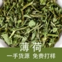 泡茶用水凉茶留兰香薄荷叶