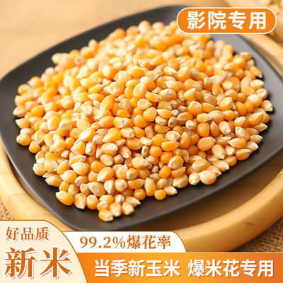 new goods Popcorn Corn grain Dedicated Ready to eat 1 /5 Gross weight Northeast Rice Popcorn raw material