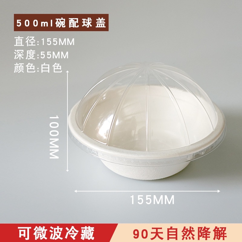 100 platos de papel desechables, cuencos de papel, pulpa de caña de azúcar, degradable, platos de picnic domésticos comerciales, platos, platos, platos, pintura de discos