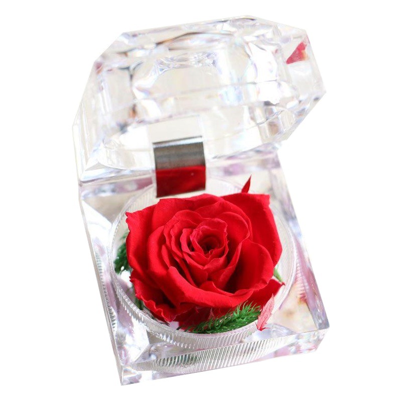 Cristal Rosa acrílico flor eterna caja de regalo confesión flor real regalo del Día de San Valentín Amazon