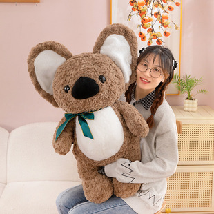 �羳�ɐ۴��ȿ���ë�q��ߺ����Y��������ܹ��Ѓ�ͯ���Y�����l