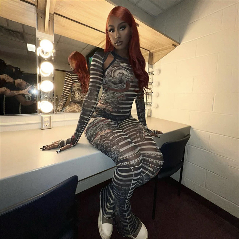 Women's Pants Set Perspective Mesh Printed Sexy Two Piece Outfit_voghion.com