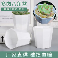 厚い八角形多肉植木鉢プラスチック小植木鉢植物花卉育苗鉢通気家庭用ベランダ植木鉢卸売り