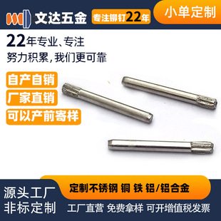 ���P�304�L���S Ƥ������B���S �����N��λ�N�A���N �X�F�L���N