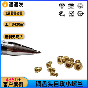 Դ�^�S��ֱ�N�A�^ʮ���ݽz����΢��С�Թ��~�P�A�^�ӹ�ʮ���ݽz�