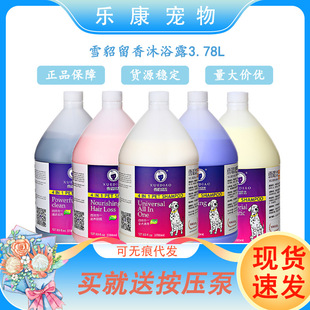 ѩ��������ԡ¶��Ͱ3.78L؈��ԡҺ�㲨�oë�ؽ�ë̩��ϴ��ͨ��