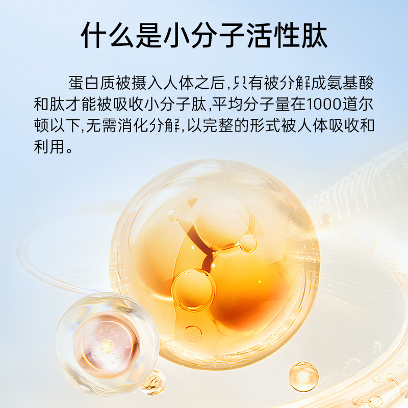 小分子活性肽固体饮料 批发运动营养食品鱼胶原蛋白肽小分子肽|undefined