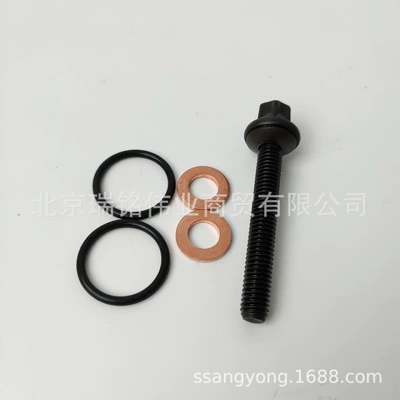 671017Kt21 Yanacaq İnjektor Qasket Təmir Dəsti Ssangyong Kgm Korando C