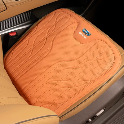 Binyue Headrest Main Driver Cushion: Waist support - type-d-seat-cushion-emma-orange-geely