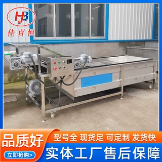 山东源头工厂直供  水浴气泡清洗机  芸豆辣椒瓜果翻浪果蔬清洗机