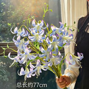 �p�^�{��ɫ�ٺϷ��滨�ٻ���c��Y�b����Ҿ��Ĕz���ߔ[�O