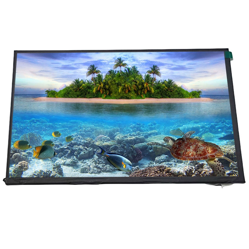 HD 10.1-дюймовый LCD-дисплей 1920x1200 IPS экран LVDS медицинский планшетный дисплей