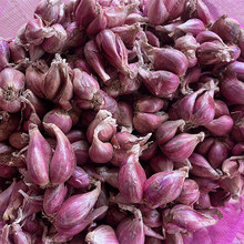 �r�����rС���[�t��Ƥ���[�^�N�������̨�ļ��[ե�[���ָ��[�^