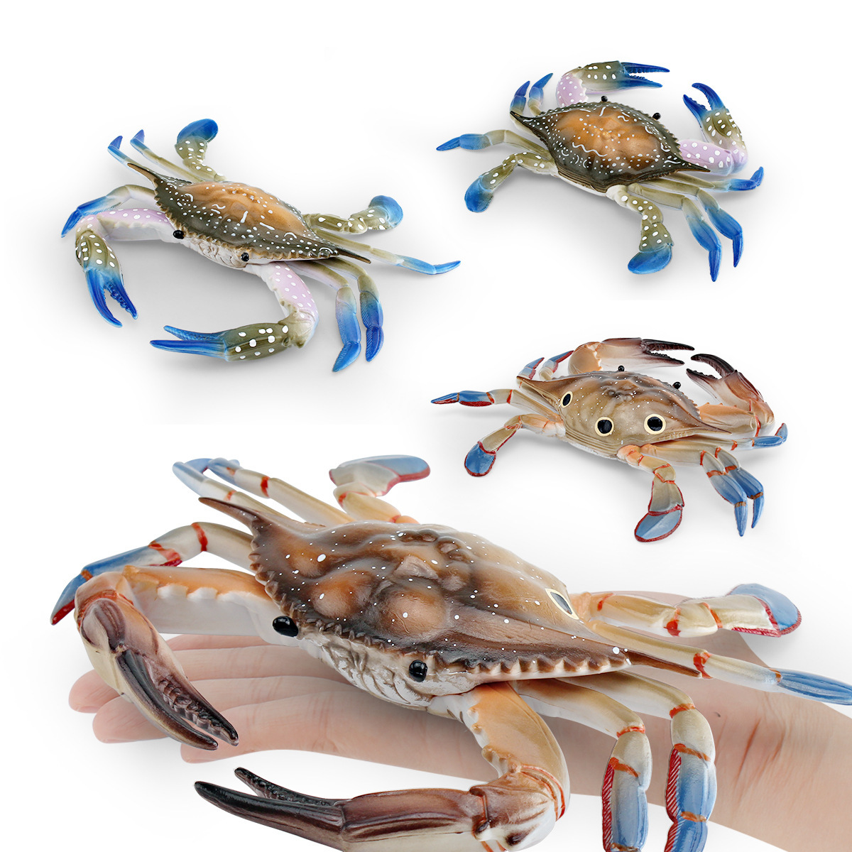 Simulación transfronteriza modelo de cangrejo de animales marinos niños cognitiva rey cangrejo araña cangrejo juguete estático decoración de escritorio