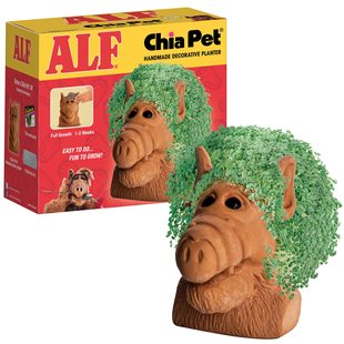 �恆�ѻ���Chia Pet Alf�恆�ѷNֲ��͸��͸ˮ�t���������������