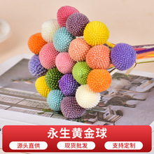 �S���S������Ȼ�滨diy���� �͏d�Ҿӻ��b廨�[����鳻�