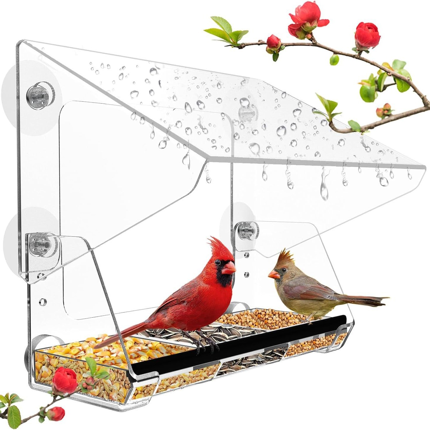 亚克力防雨窗喂鸟器 可调节