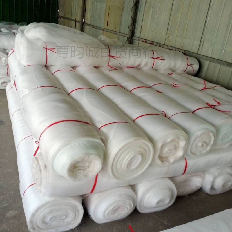 防虫网蔬菜大棚果树专用网养殖网池塘围网白色尼龙防鸟农家用沙网