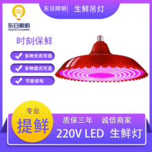 led生鲜灯超市水果熟食猪肉灯 海鲜蔬菜照肉灯卤菜熟食灯冷鲜肉灯