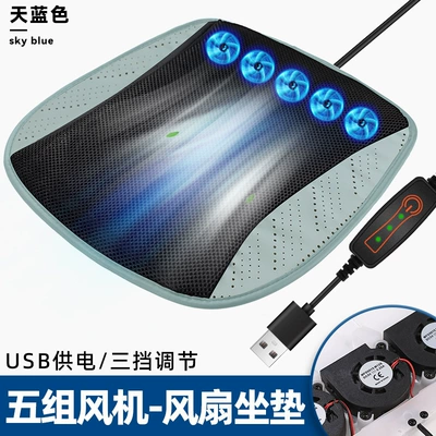 Cooling, Breathable Air-Conditioned Seat, Cool pad - 5-sets-of-fans-ventilated-ice-pad-sky-blue-usb-model