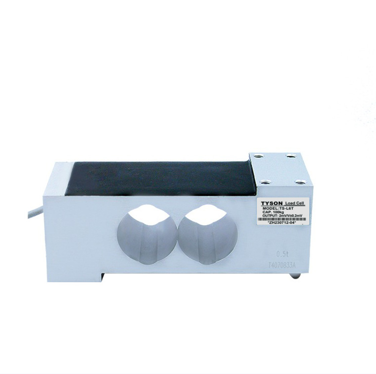 TS-L6T-100KKG����ʽ������������