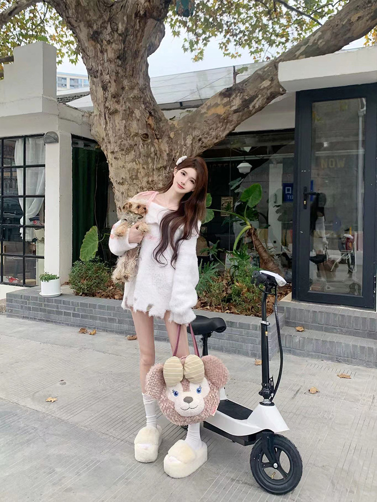 Suitable for Electric Scooters, Adult Work Scooters, Mini Electric Scooters for Girls, Foldable Dolphin Batteries
