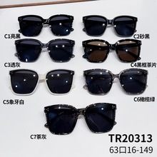 网红TR90超轻新时尚街头靓仔靓女爆款舒适美妆太阳镜G牌同款20313