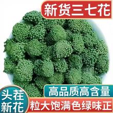 正宗云南文山特产三七花500g野生特级中药田七茶干7正官方旗舰店