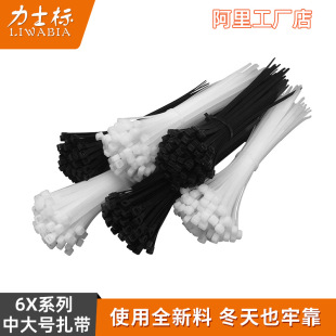 6*��ʿ�ˏ���һ���o�������������̶��������ϗl���iʽ��������
