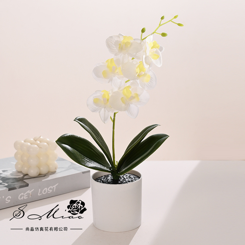 Orquídea Phalaenopsis Artificial en Bonsái, Suministrada Directamente por el Fabricante, Plantas Artificiales Creativas para Decoración de Interiores, Flores Artificiales, Plantas en Maceta Simuladas