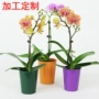 定制外贸简约塑料花盆